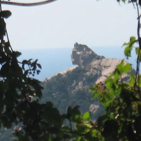 L'oasis Du Lion Sartène