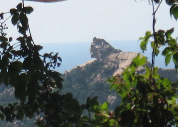 L'oasis Du Lion Sartène
